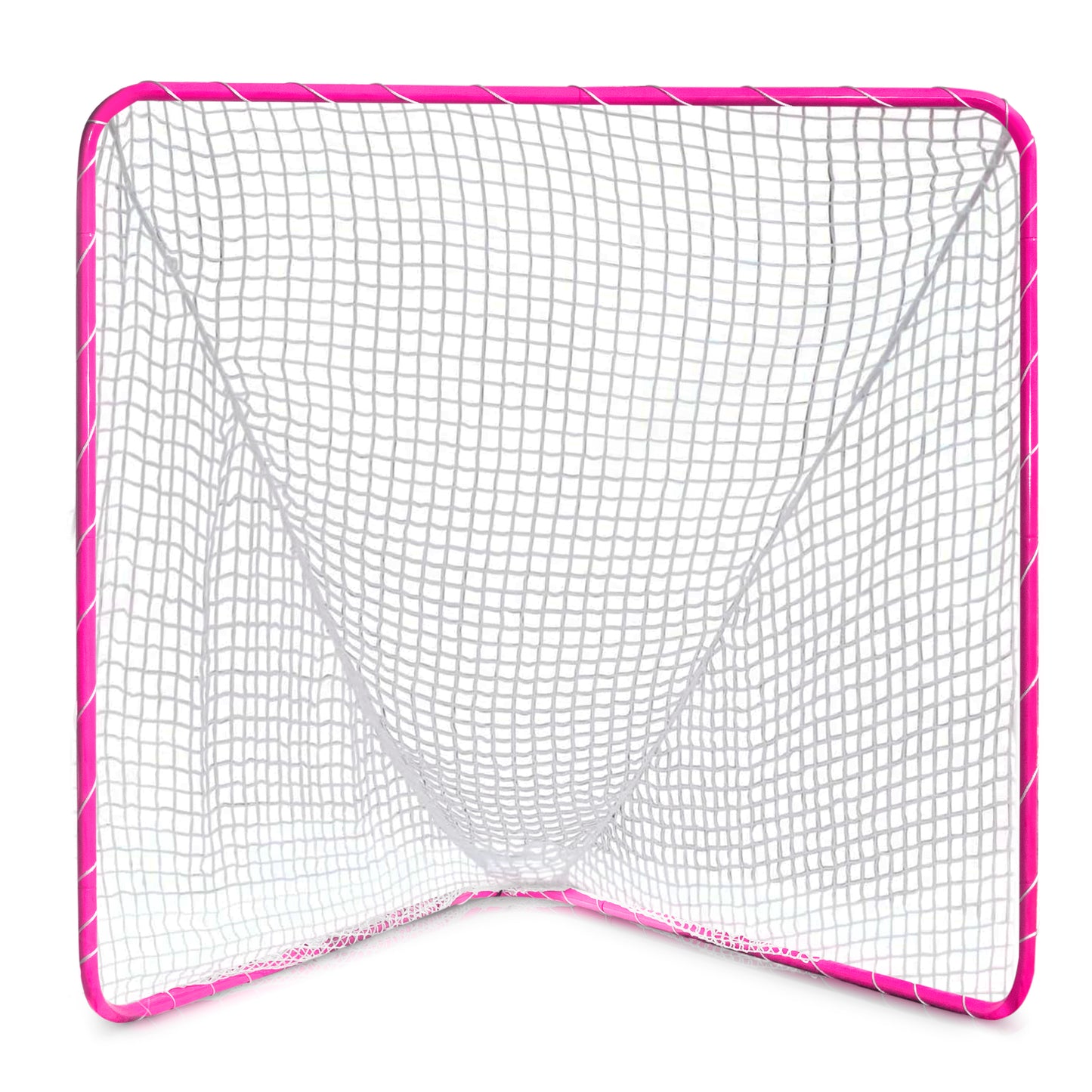 Backyard Practice Goal